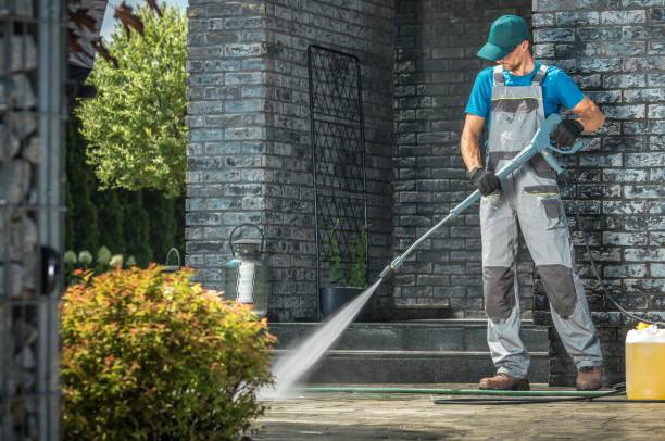 Best Animal Enclosure Cleaning  in Canton Valley, CT