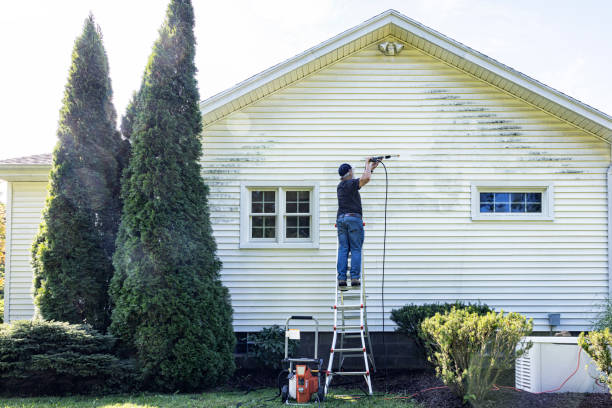 Best Driveway Pressure Washing  in Canton Valley, CT